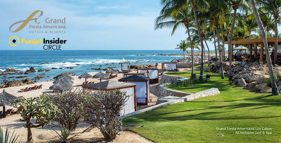 San jose del cabo escorts Pet escorts - Cabo San Lucas Forum - TripAdvisor
